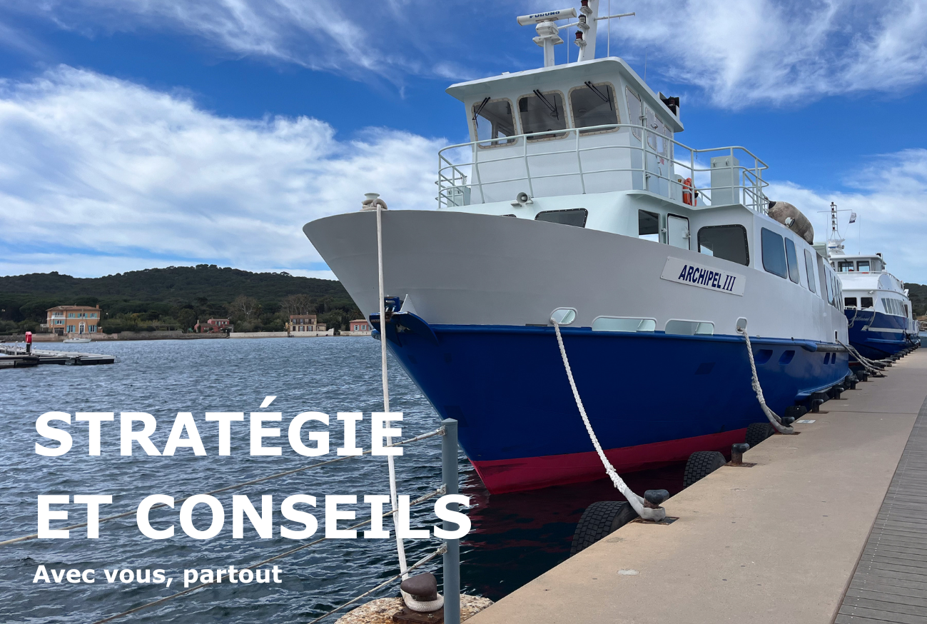 Stratégie & Conseil